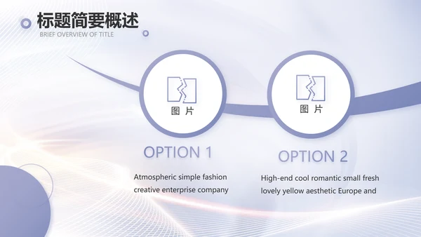 医美招商加盟工作总结动态PPT