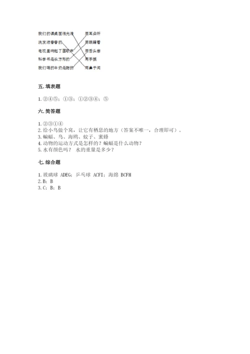 教科版一年级下册科学期末测试卷及答案【最新】.docx
