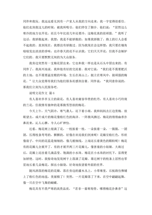 关于说明文花作文锦集8篇.docx