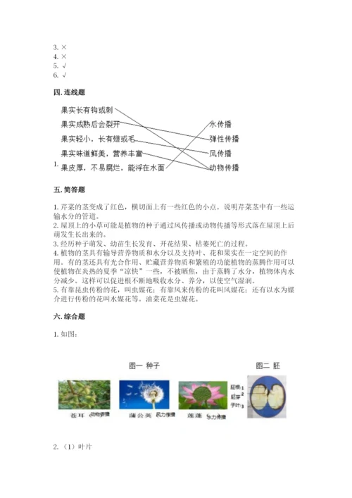 科学四年级下册第一单元《植物的生长变化》测试卷含完整答案（各地真题）.docx