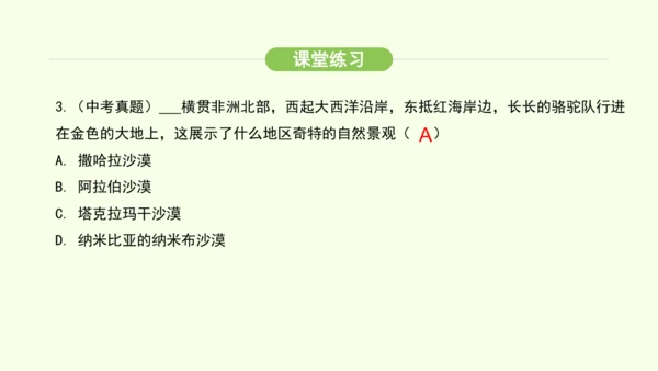 9.3.2 快速发展的经济（课件26张）-2024-2025学年七年级地理下学期人教版(2024)