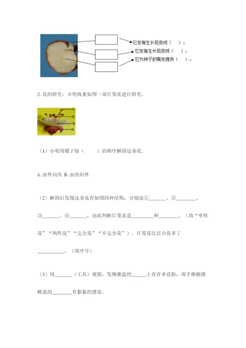 教科版科学四年级下册第一单元《植物的生长变化》测试卷【能力提升】.docx