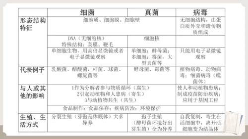 人教版生物八年级上册2.3 细菌、真菌和病毒 本章复习课件(共23张PPT)+视频素材