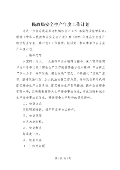 民政局安全生产年度工作计划.docx