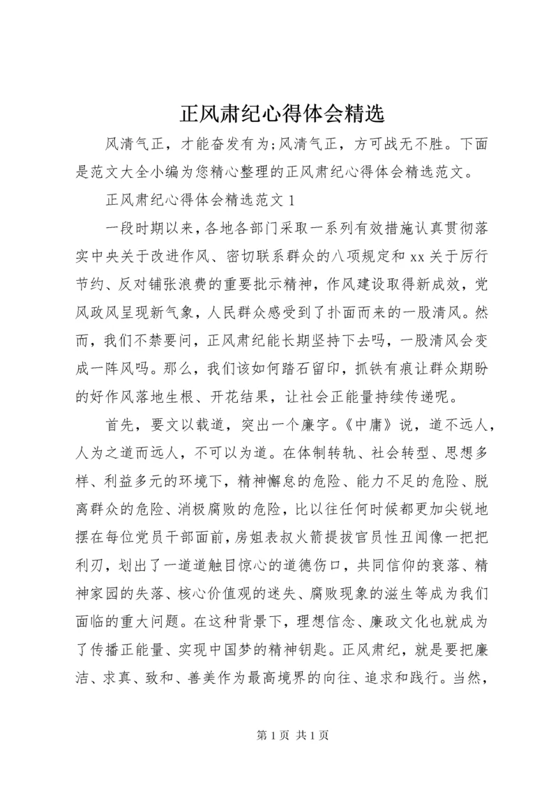 正风肃纪心得体会精选.docx