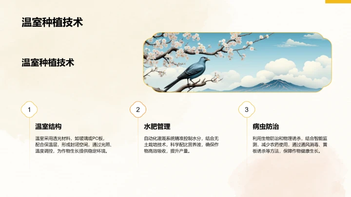 二十四节气大暑PPT模板