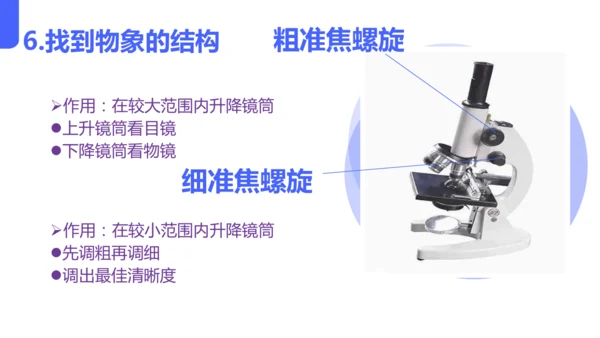 人教版（2024）七年级上册1.2.1 学习使用显微镜 课件(共29张PPT)