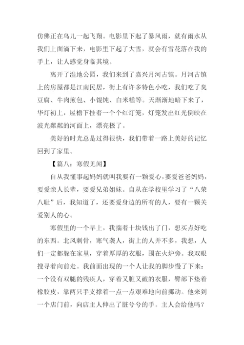 寒假见闻作文500字.docx