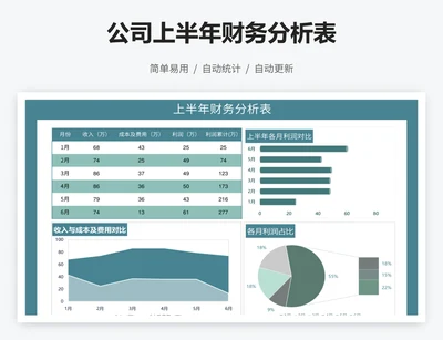 公司上半年财务分析表