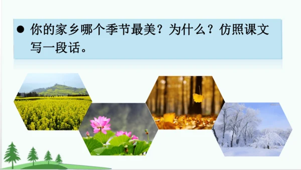 20.美丽的小兴安岭   课件