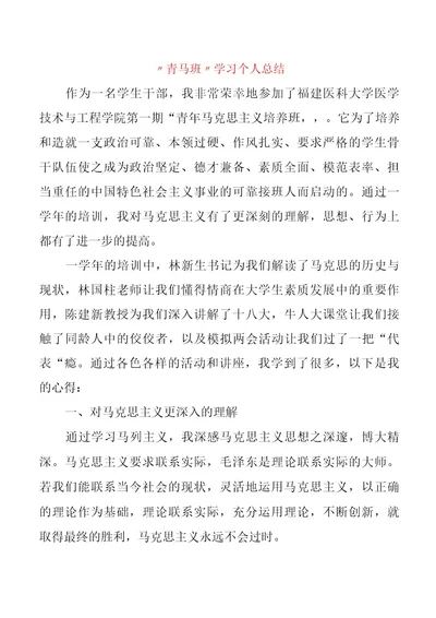 “青马班学习个人总结