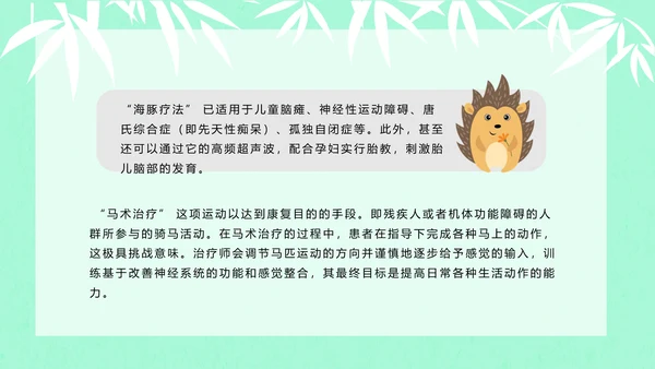 大熊猫国际野生动物保护日PPT模板