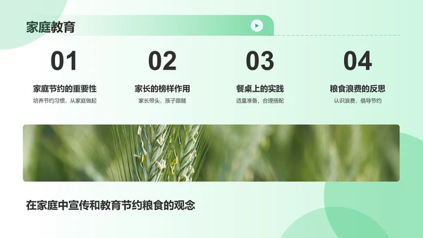 绿色摄影风节约粮食PPT模板