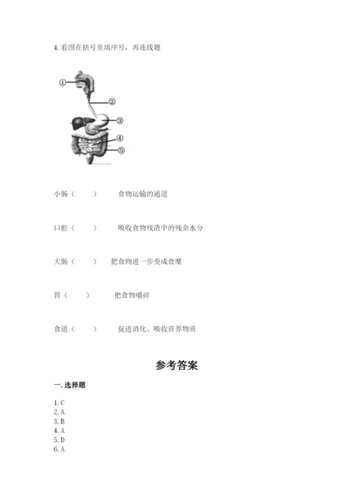 教科版四年级上册科学期末测试卷及参考答案（夺分金卷）.docx