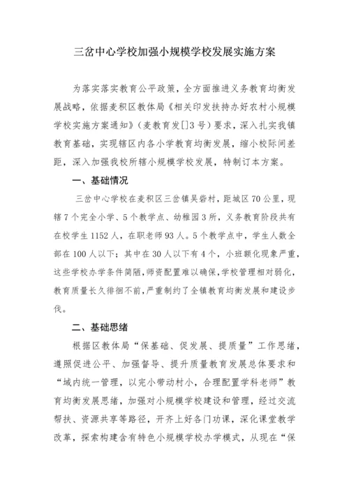 三岔中心学校扶持小规模学校实施专业方案.docx