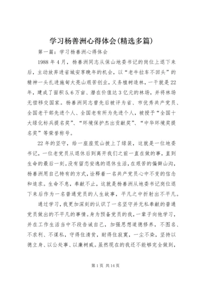 学习杨善洲心得体会(精选多篇) (2).docx