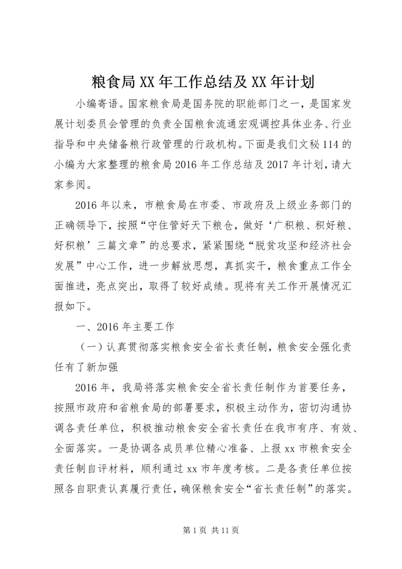 粮食局XX年工作总结及XX年计划.docx