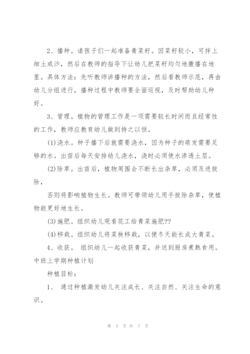 中班上学期种植计划.docx