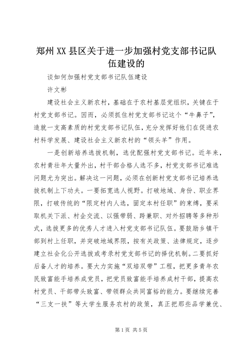 郑州XX县区关于进一步加强村党支部书记队伍建设的_1 (3).docx