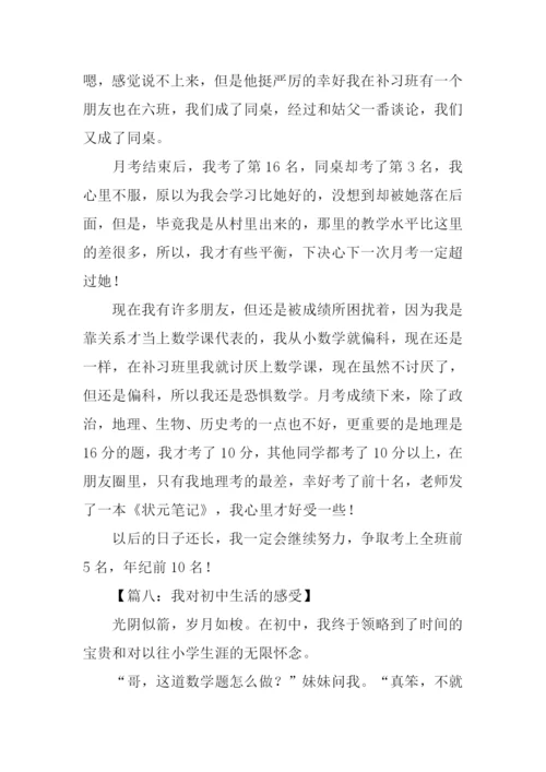 初中生活的感受作文.docx