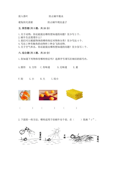 教科版一年级下册科学期末测试卷精品【全优】.docx