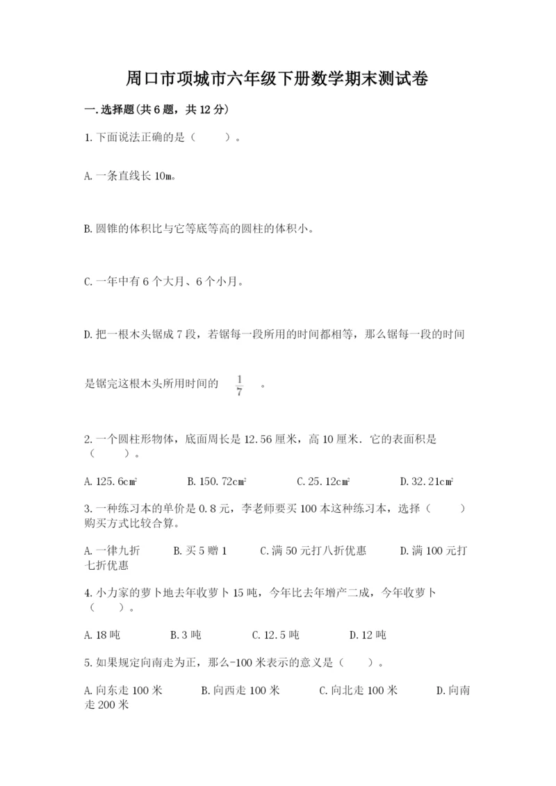 周口市项城市六年级下册数学期末测试卷精选.docx