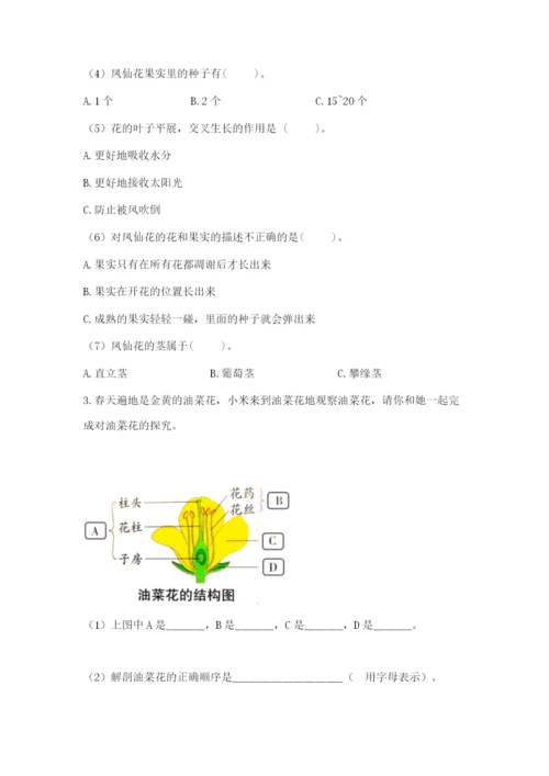 科学四年级下册第一单元植物的生长变化测试卷带答案（培优b卷）.docx