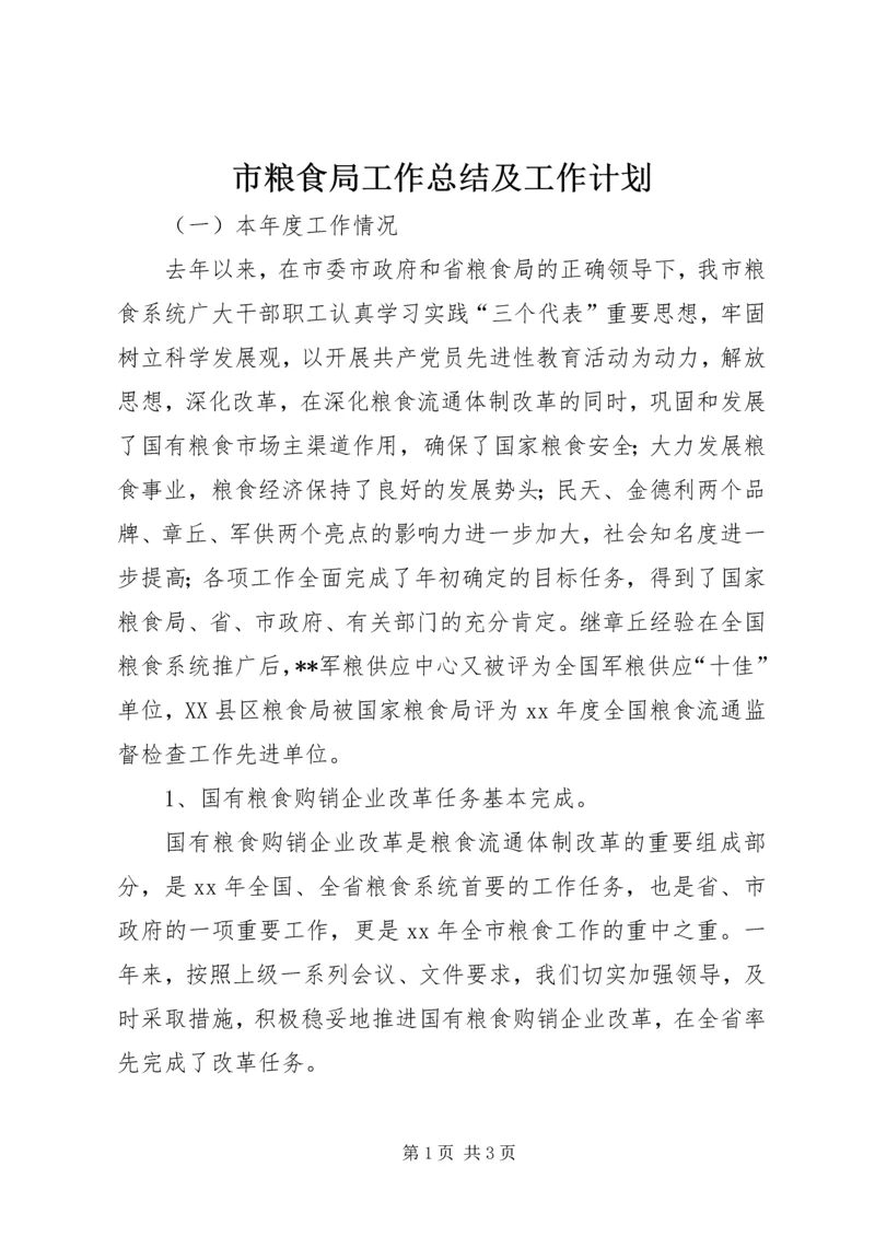 市粮食局工作总结及工作计划 (5).docx