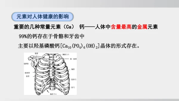 课题1 化学与人体健康 课件(共43张PPT)2024-2025学年人教版九年级化学下册