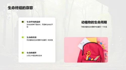 生态守护之旅