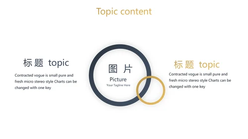 简约高档尊贵银行工作总结动态PPT模板