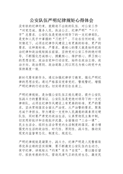 公安队伍严明纪律规矩心得体会.docx