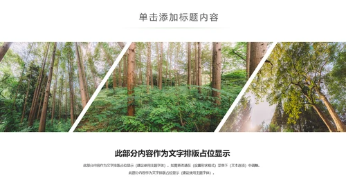 绿色森林植树造林林业木材园动态PPT模板