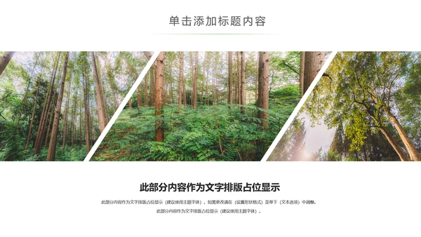 绿色森林植树造林林业木材园动态PPT模板