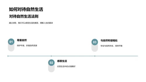 古诗解析与感悟