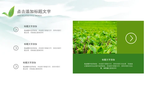 清新茶叶茶道春茶农村旅游茶园绿茶红茶PPT