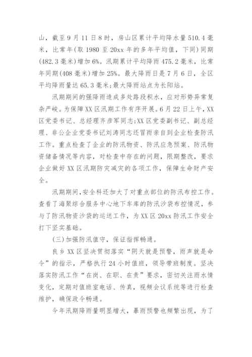 防汛安全隐患排查整治工作总结.docx