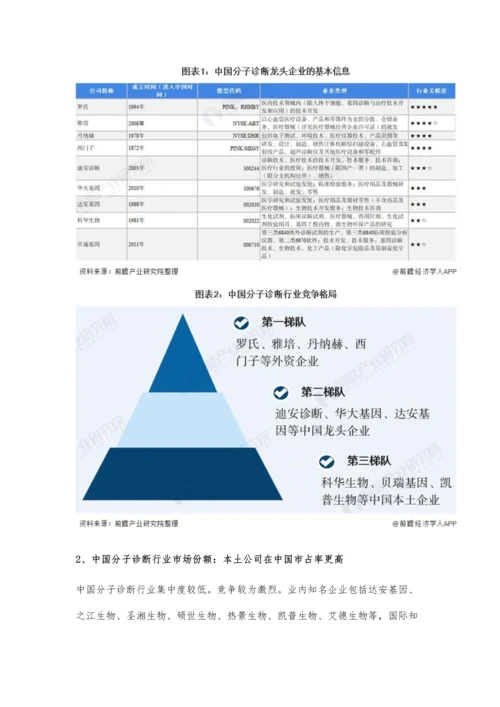 中国分子诊断行业竞争格局及市场份额分析-外资企业领头、国内企业领跑.docx