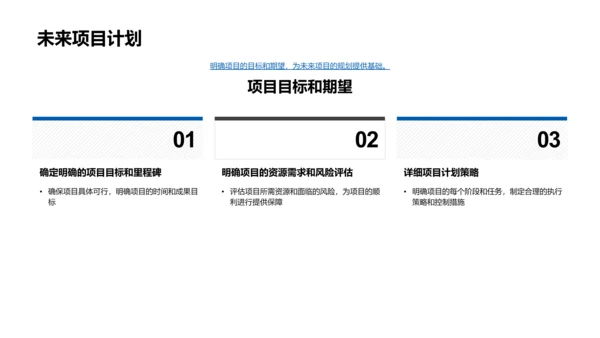 项目年度总结报告