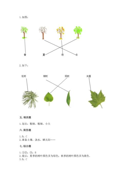 教科版科学一年级上册第一单元《植物》测试卷附参考答案（精练）.docx