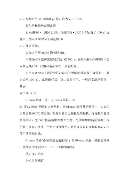 动物繁殖学实验心得3篇.docx
