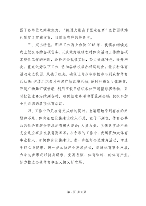 乡镇年度农村体育活动工作总结.docx