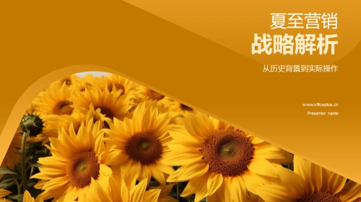 夏至营销战略解析