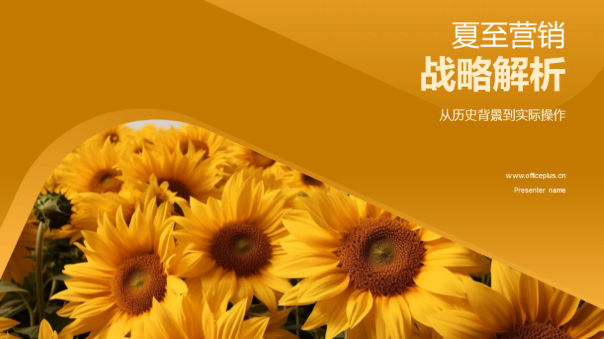 夏至营销战略解析