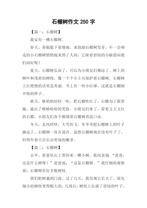 石榴树作文250字.docx