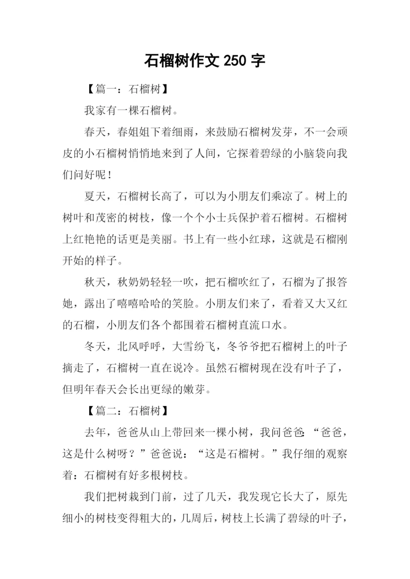 石榴树作文250字.docx