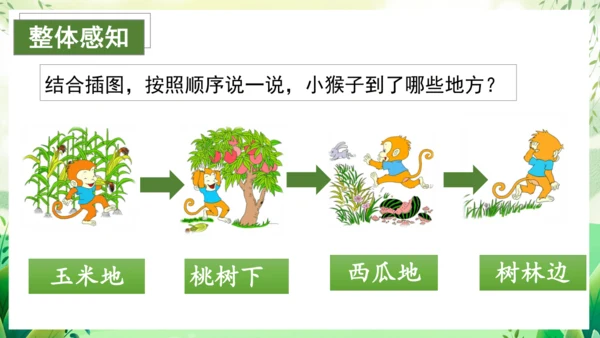 17小猴子下山（教学课件）