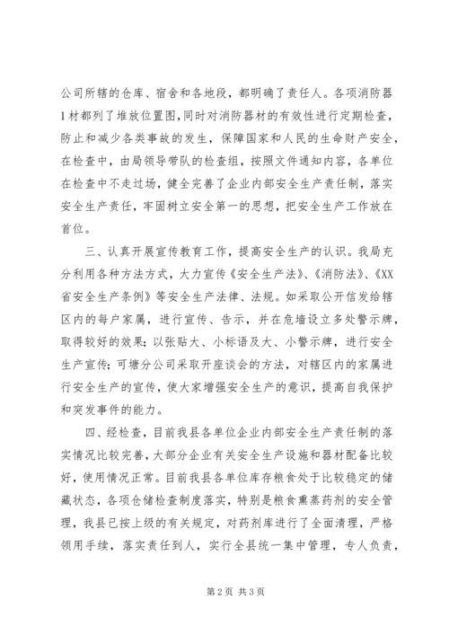 粮食局安全生产总结及工作计划 (5).docx