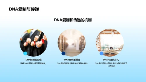 探秘生命密码：DNA