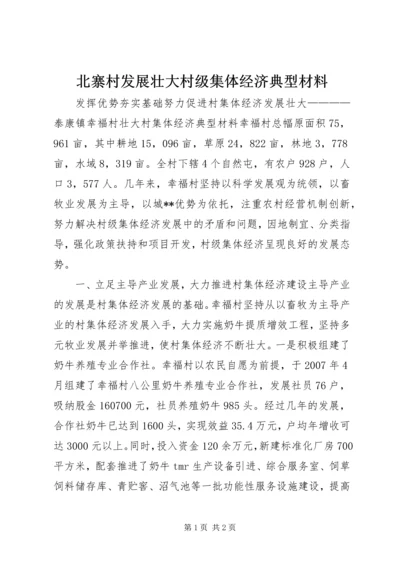 北寨村发展壮大村级集体经济典型材料.docx